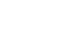 New audi